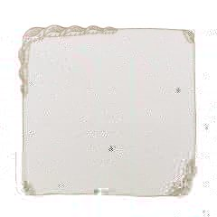 Winding Vines Napkin in White & Natural, Set of 4